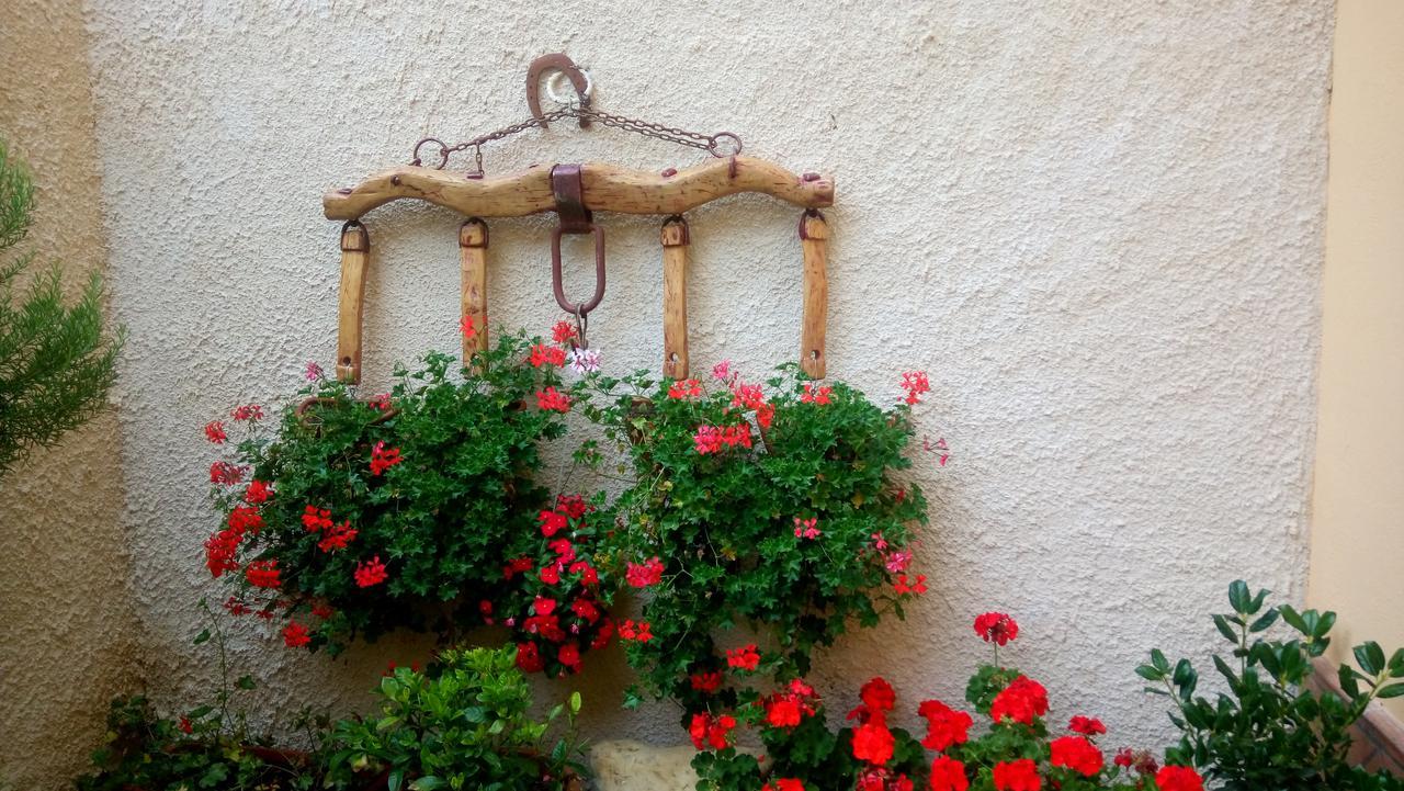 B&B A Casa Di Nonna Massa d'Albe Extérieur photo